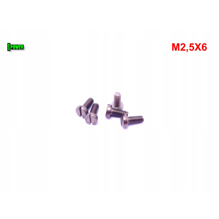 M2,5x6 śruba din 84 iso1207 tytanowa z łbem walcowym płaskim śruby tytanowe