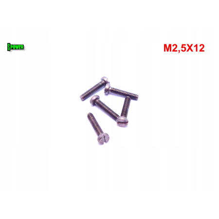 M2,5x12 śruba din84 iso1207 tytanowa z łbem walcowym płaskim śruby tytanowe