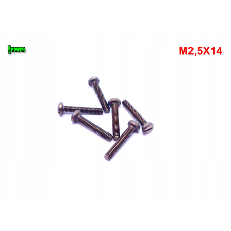 M2,5x14 śruba din84 iso1207 tytanowa z łbem walcowym płaskim śruby tytanowe