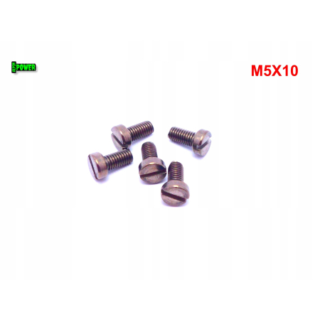 M5x10 śruba din 84 iso 1207 tytanowa z łbem walcowym płaskim śruby tytanowe