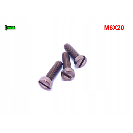 M6x20 śruba din 84 iso 1207 tytanowa z łbem walcowym płaskim śruby tytanowe