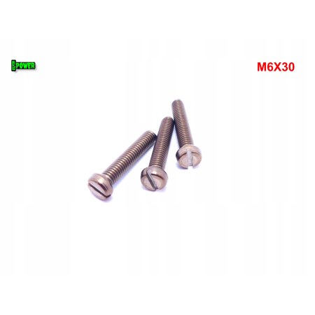 M6x30 śruba din 84 iso 1207 tytanowa z łbem walcowym płaskim śruby tytanowe