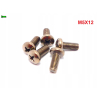 M5x12 śruba philips tytanowa grade 2