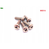 M5x14 śruba philips tytanowa grade 2 din 7985 iso 7045 śruby tytanowe