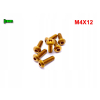 M4x12 śruba tytanowa gr2 imbusowa iso 7380 śrubki tytanowe kolorowe złota