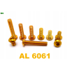 M4x20 śruba aluminiowa imbusowa iso 7380 śruby aluminiowe 6061 kolor złoty