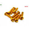 M5x20 śruba aluminiowa imbusowa iso 7380 śruby aluminiowe 6061 kolor złoty